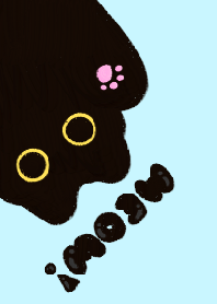 Charcoal, the black cat