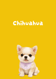 I love Chihuahuas02 yellow