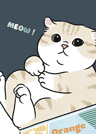 neko single17 - indigo