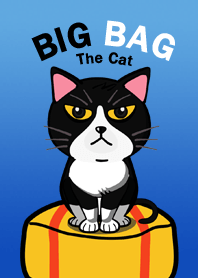 Big Bag The Cat