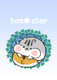 hamster.