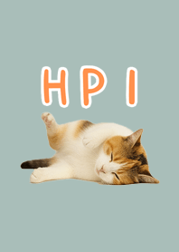 Sleepy Calico | Dusty Blue HP1#2