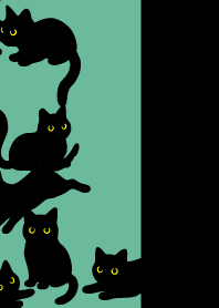 Black Cat Holiday9 on blue green