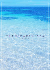 TRANSPARENT SEA-LOVE HAWAII 22