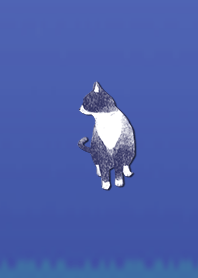 Simple adult cat 1001