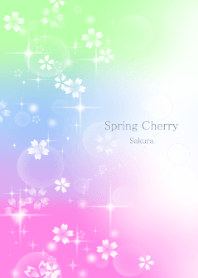 Spring cherry blossoms Sakura