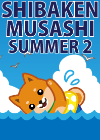 柴犬「ムサシ」夏2