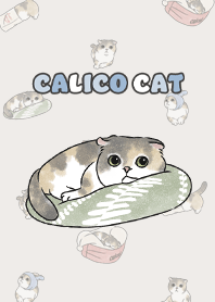 calicocat2 / light beige