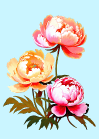 Peony flowers elegant
