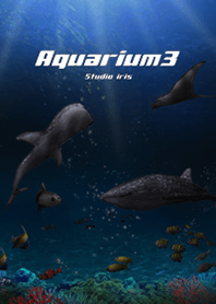 水族館 Aquarium3