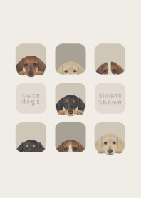 DOGS - dachshund - GREEN GRAY