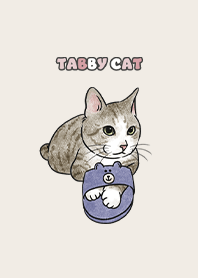tabbycat6 / beige