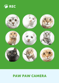 Paw Paw Camera -  Blue 05