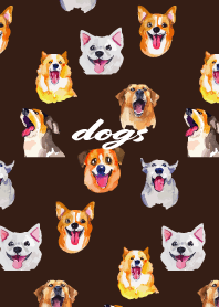 The cheerful dogs on brown