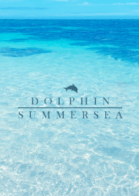 SUMMER SEA. 27 -BLUE DOLPHIN-
