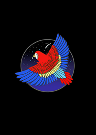 Parrot into Night