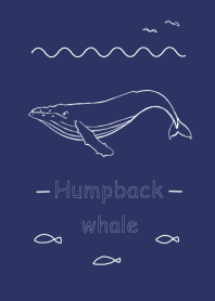 Humpback whale