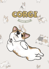 corgicorgi8 / light beige