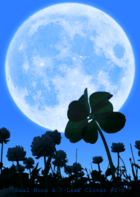 Real Moon & 7-Leaf Clov...