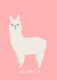Alpaca spring