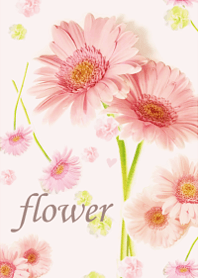 Gerbera wrapped in gentle happiness4.