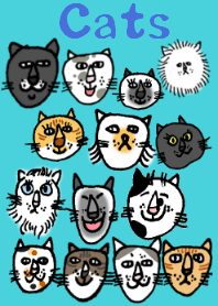 Cats, large groups.