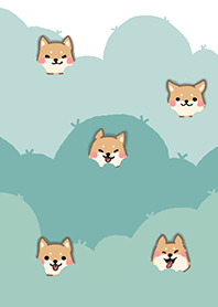 Shiba hiding in the bushes || Green