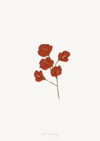 椿花_