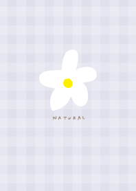 White flower natural24 from Japan
