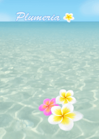 Plumeria.*