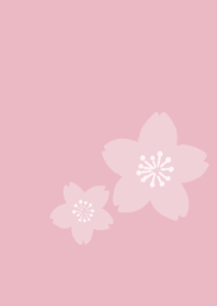 Sakura sake