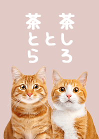 茶とら と 茶しろ - ピンクベージュ