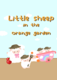 ลูกแกะตัวน้อยในสวนส้ม