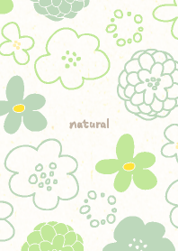 various gentle flowers13 fr...