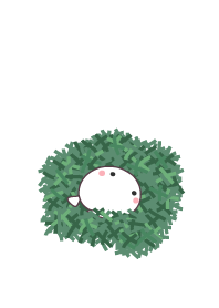 fish staring - 12- chlorella