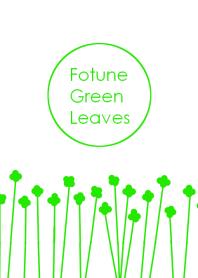 Fortune Green Leaves