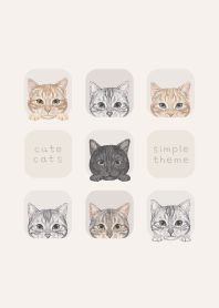 CATS - American Shorthair - BEIGE