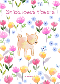 Shiba loves flowers