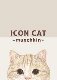 ICON CAT - Munchkin - BROWN/03