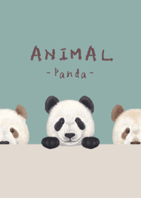 ANIMAL - Panda - BLUE GREEN