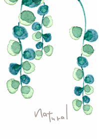 Gentle botanical garland4.