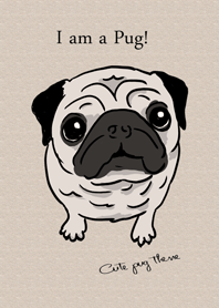 Cute pug theme