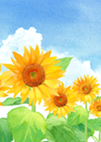 gentle watercolor sunflower from Japan