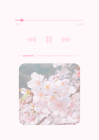 Music film SAKURA