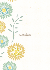 Two-color gerbera left14Japan