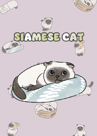 siamesecat7 / taro