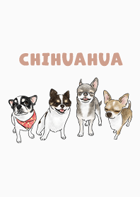 chihuahua3 - white