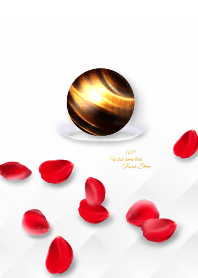 2019 Wish come true,Rose & Tiger Eye