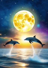 dolphin and full moon