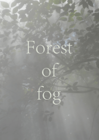 霧の森